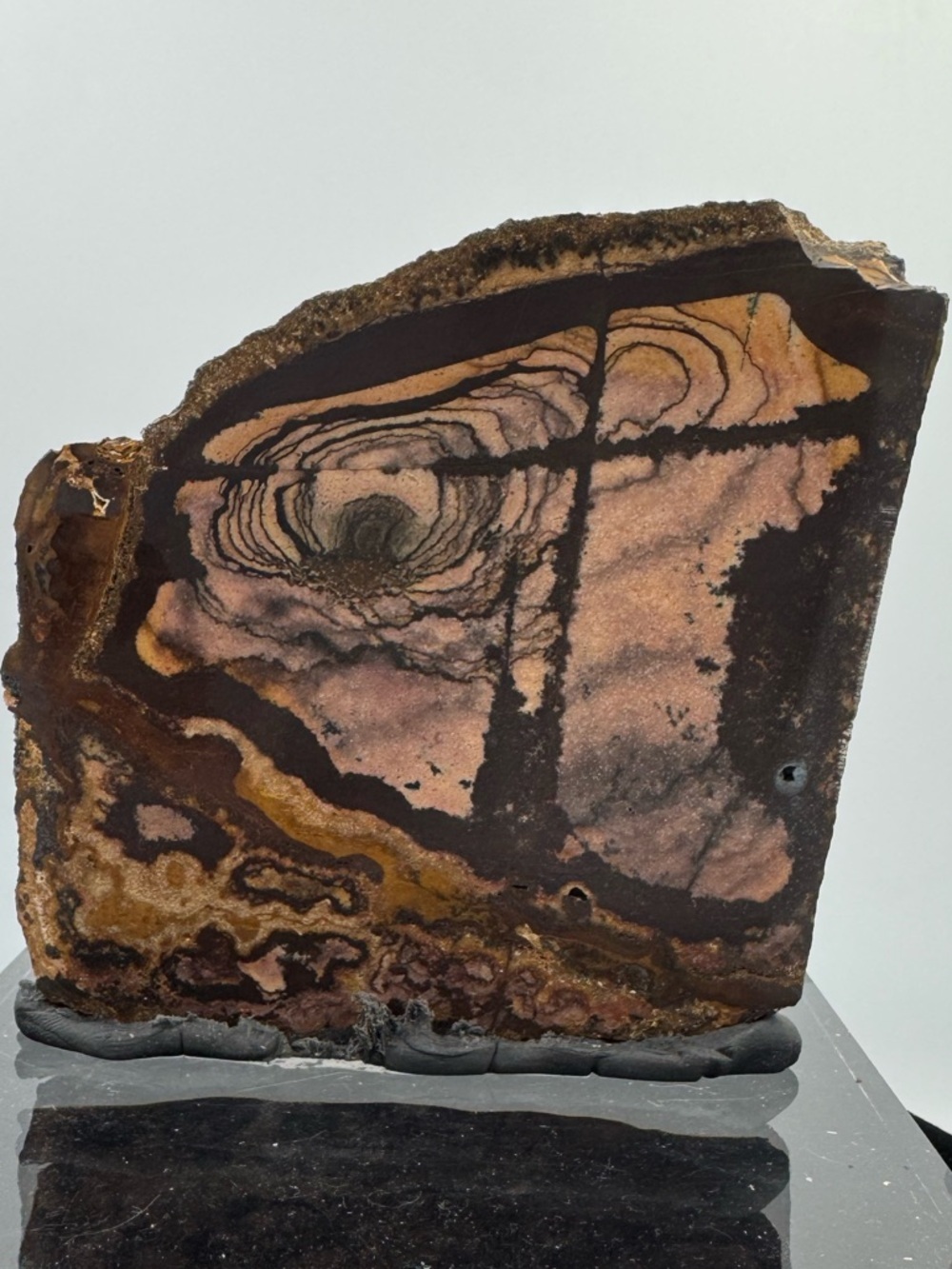 Andromeda Jasper Africa - Picture 2 of 5